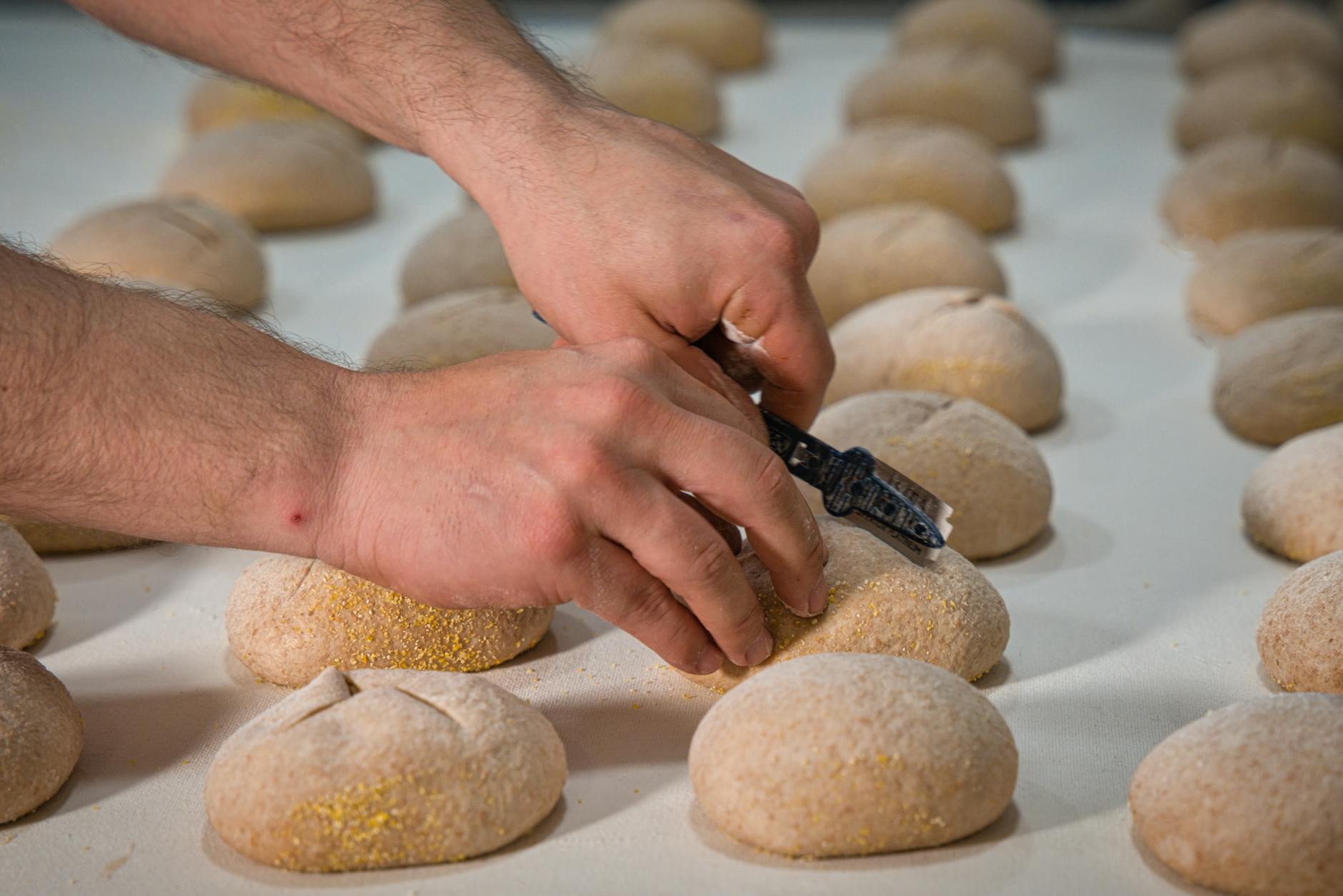 Hands crafting artisanal bread loaves in a sunny bakery